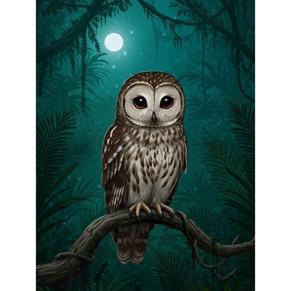 Brown Owl Custom Fridge Magnet Kitchen Home Decor